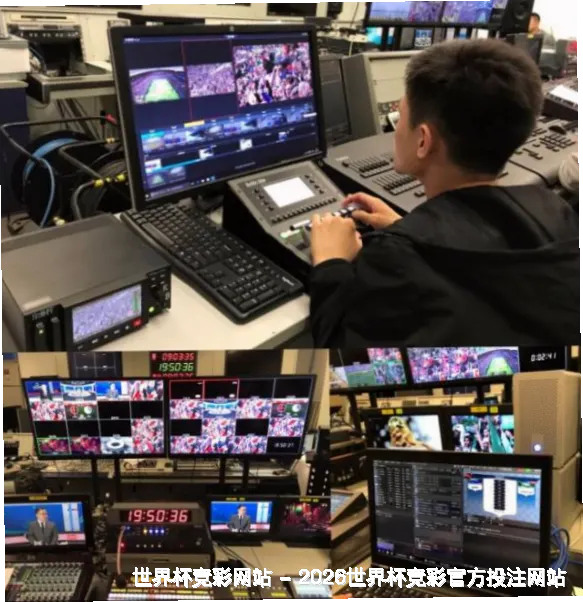 使用方法与注意事项